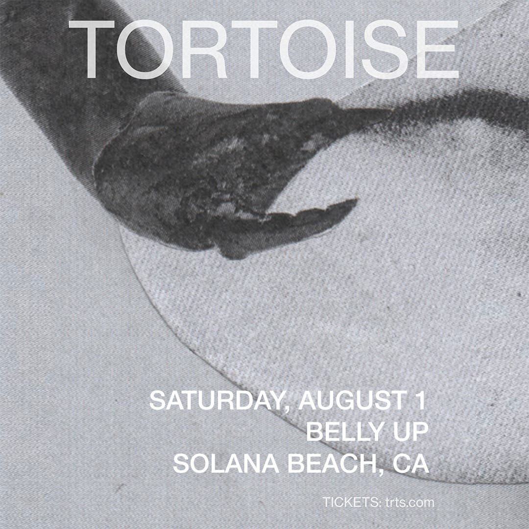 Tortoise