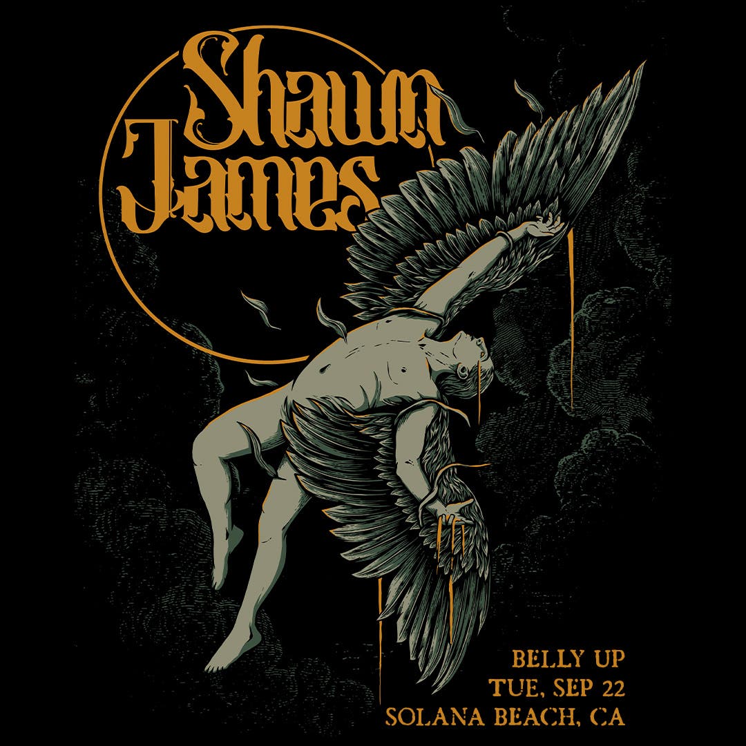 Shawn James - Flew Too Close To The Sun Tour