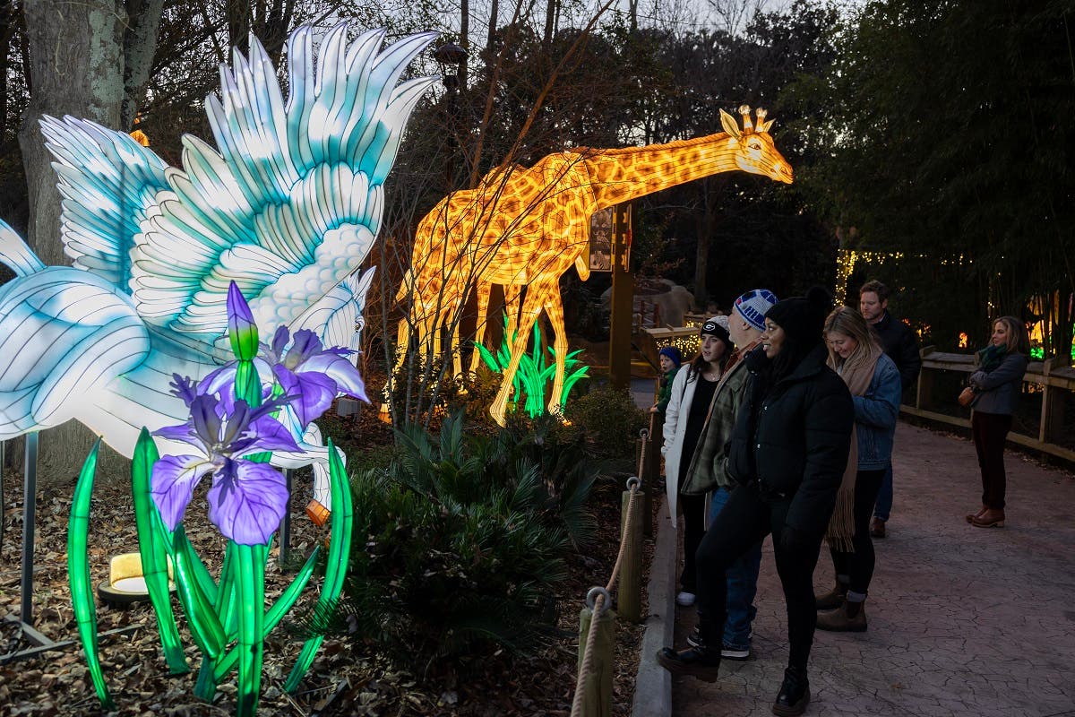 IllumiNights at the Zoo