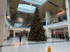 Star and Christmas tree at Tanforan