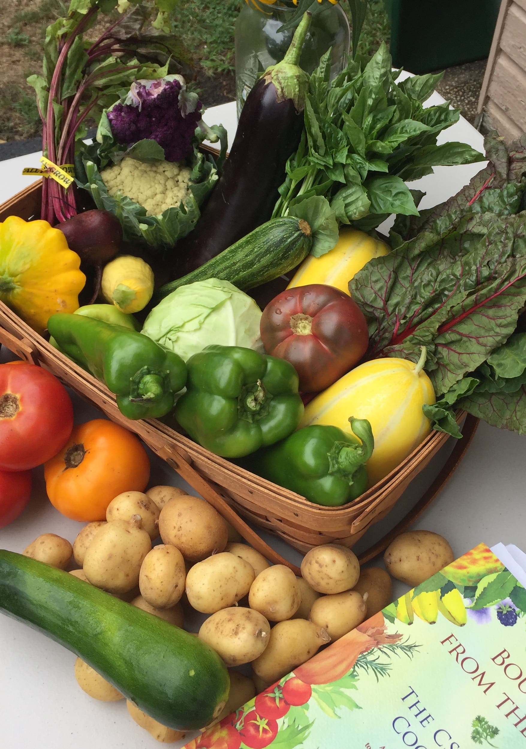 Community Supported Agriculture (CSA)