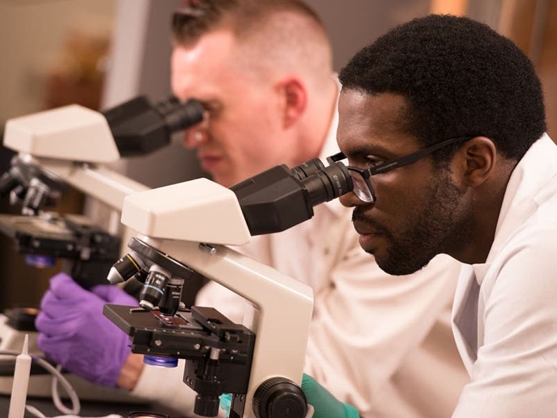 work, students, 2013, McKeith, experiment, learn, laboratory, stem, health, group, lab, science