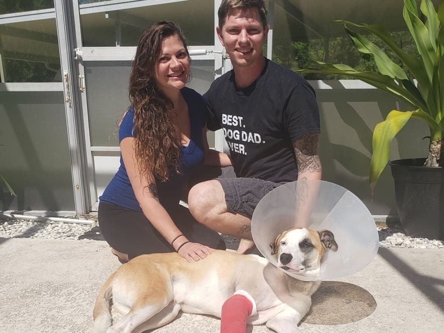 Trent Tweddale and his wife, Kristina, are lucky to have their dog, Loki, as a member of their family after an alligator attack.