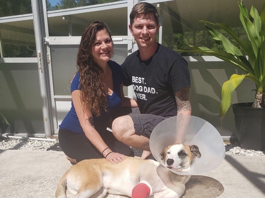 Trent Tweddale and his wife, Kristina, are lucky to have their dog, Loki, as a member of their family after an alligator attack.