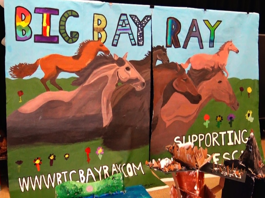 A retired Pleasanton nurse's not-for-profit turns recycled grain bags into reusable bags and other gifts that go to benefit local organizations to help to rescue horses.