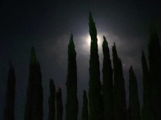 Patch reader Nataliya Obolenskaya captured this photo recently in Walnut Creek. She described it as a game of hide and seek with the moon.