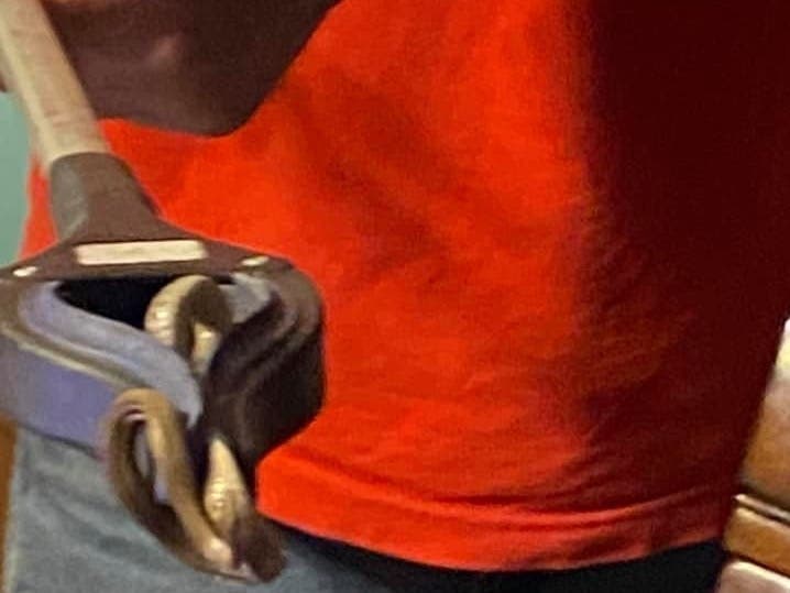 Augusta resident Trish Wilcher had an animal control company remove the 18 snakes from her home on Monday after the ordeal left her without sleep. 