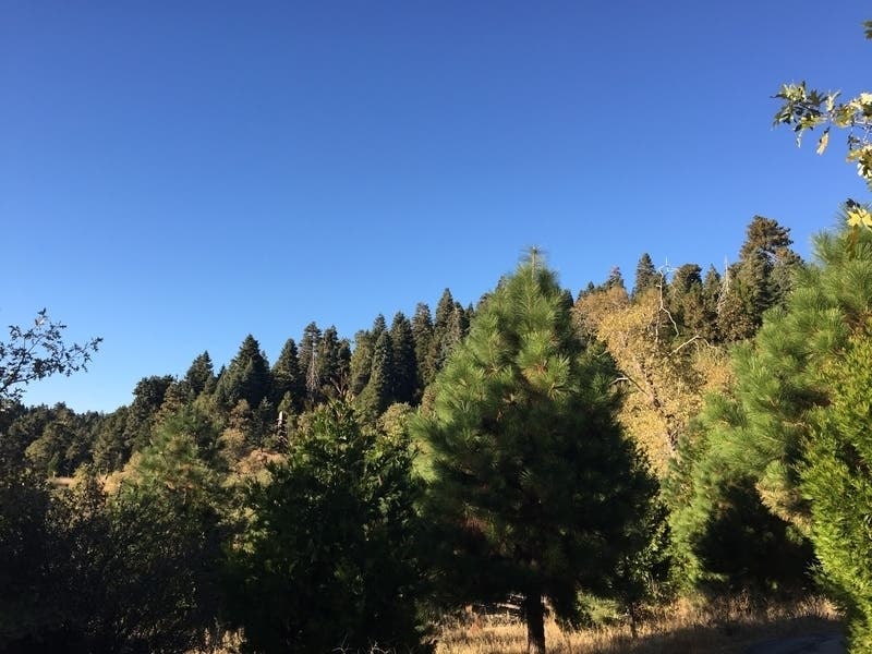 Campgrounds, state parks and recreational areas will all be closed to the public for at least two weeks. 