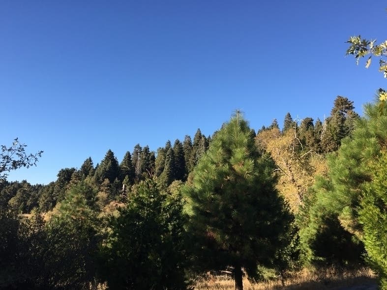 When parks and trails reopen, visitors will still need to practice safe social distancing. 