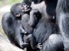 Uzumma tenderly caring for her 2-month baby boy.
