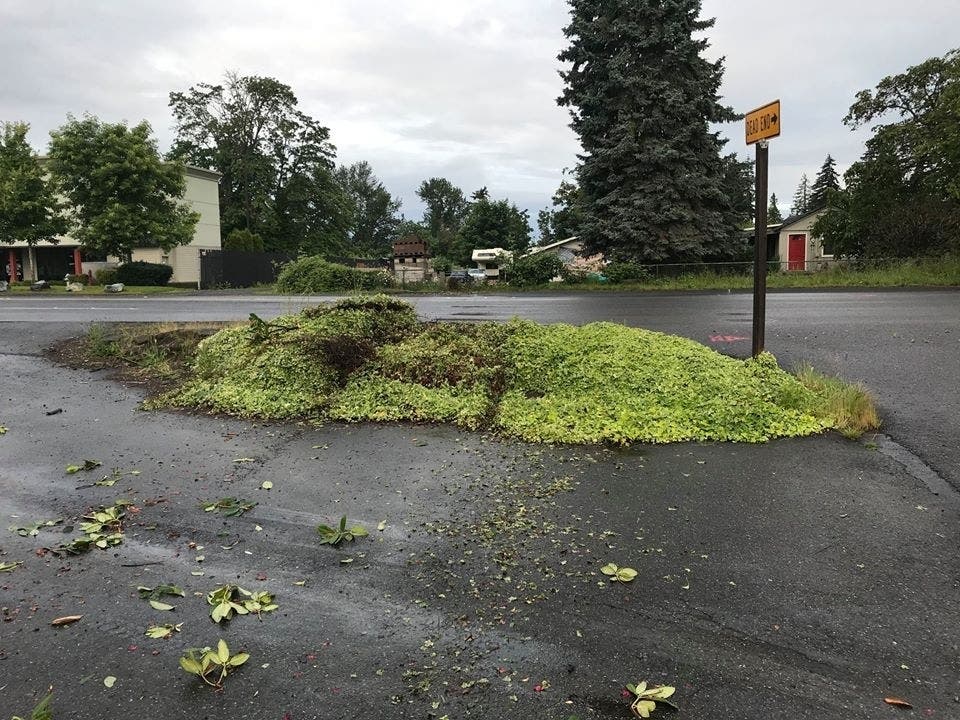 News small post card thumbnail