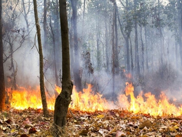 Burn Ban Issued For Unincorporated Pierce County Gig Harbor, WA Patch