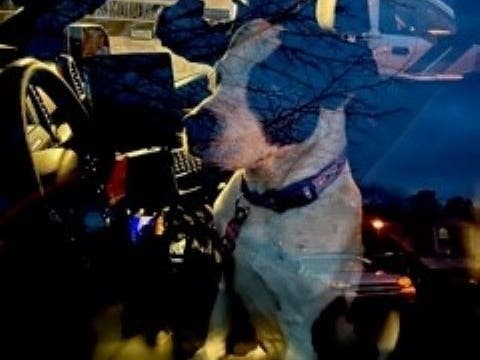 An off-duty Manchester police officer located a missing, endangered man after a nine hour search in the Crossley Preserve with the help of the man's dog.