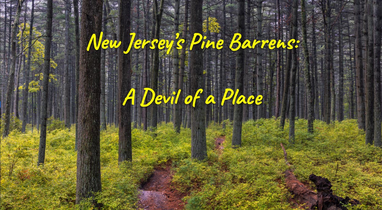 New Jersey's Pine Barrens: A Devil of a Place!