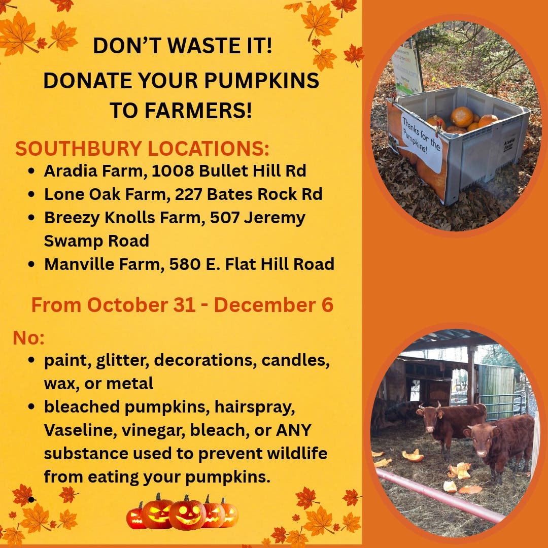 Donate Your Pumpkins to Farmers!
