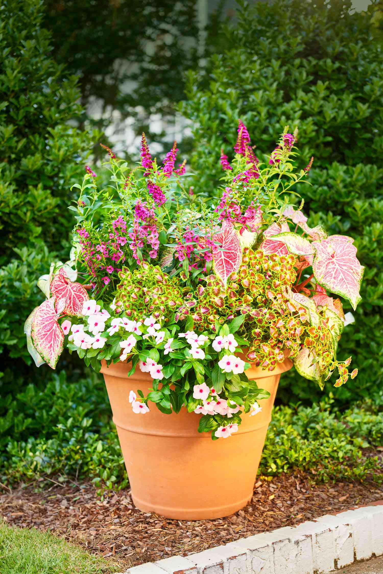 Grayslake Greenery Garden Club presents "Creating a Contatiner Garden"