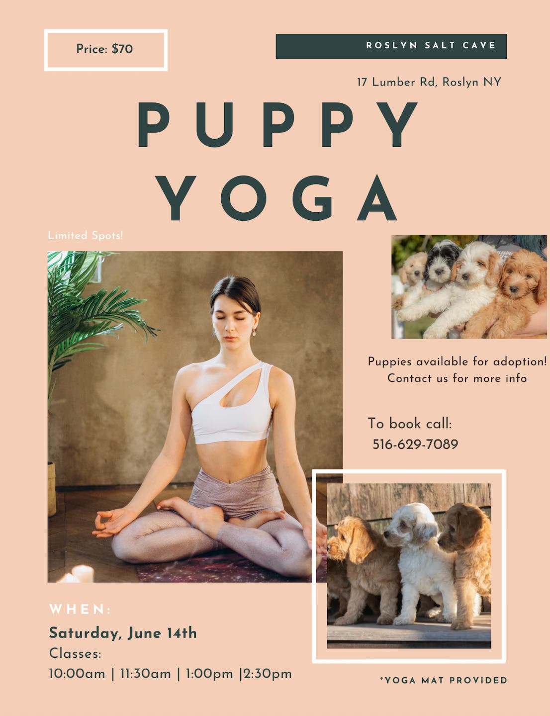 Puppy Yoga