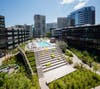The lush central courtyard at Stamford Urby has bamboo-lined paths that wind through leafy planted sections,  cozy seating areas, BBQ spaces , and an elevated saltwater pool and sun deck.