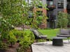 The courtyard at Birch House, Jersey City