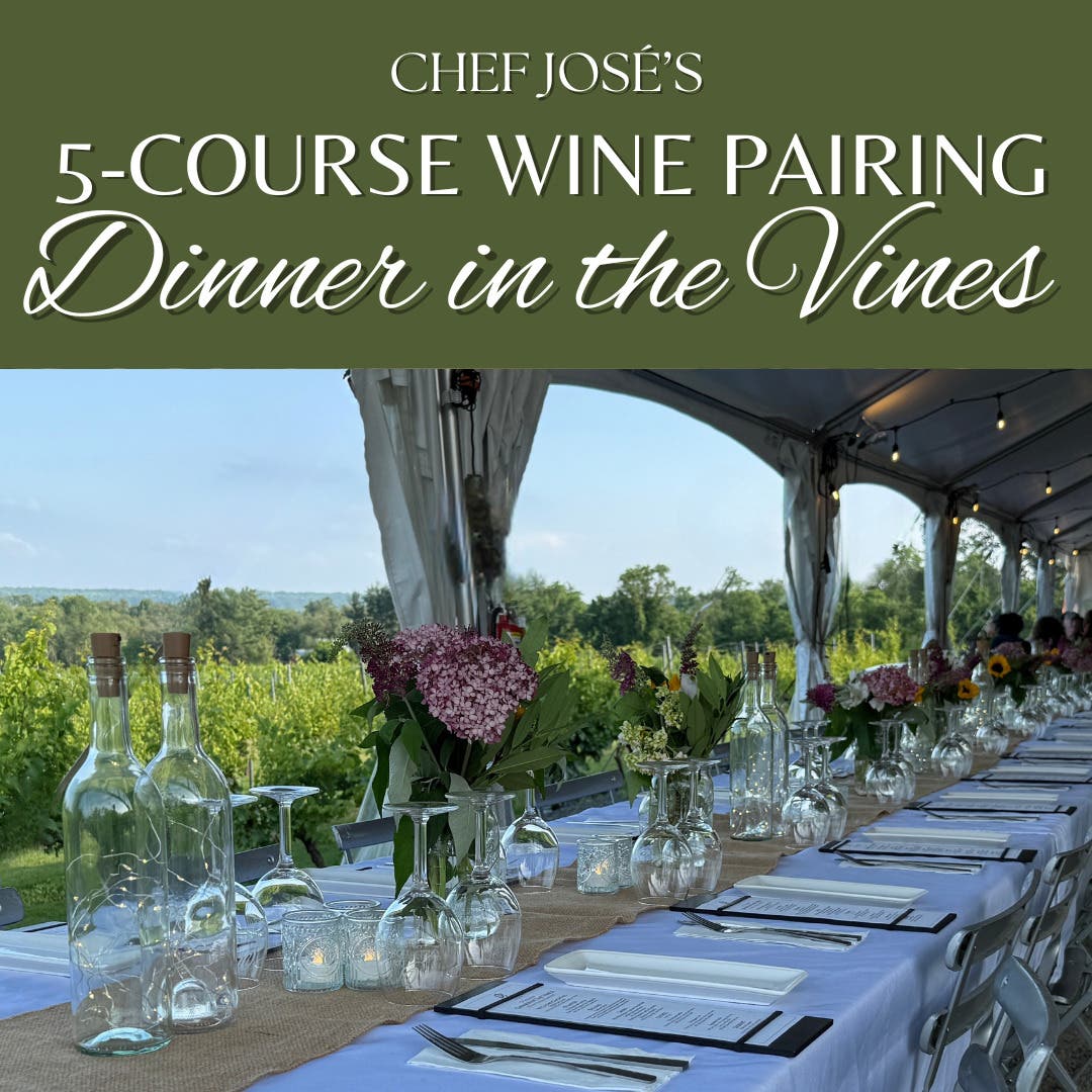 Wine Pairing Dinner in the Vines at Old York Cellars Winery ššæ