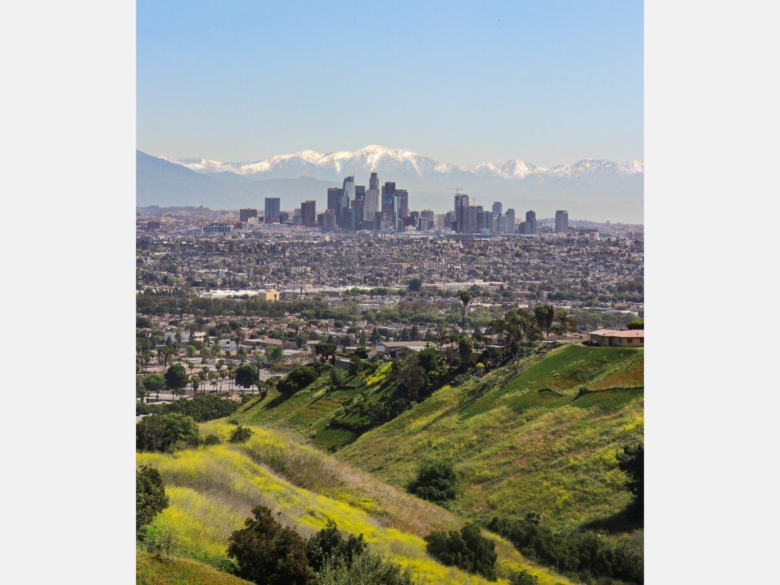 What's better than Los Angeles on a clear spring day? Taken from Kenneth Hahn Park in Baldwin Hills.