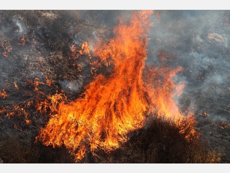 Vandermeulen will advise residents on hardening their homes against flying embers, a major cause of home destruction during wildfires. 