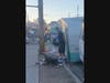 Erin Rain removing trash from Pearl after she was found in San Fernando.