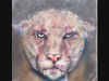 "P-22, Poisoned" by Kathi Colman
