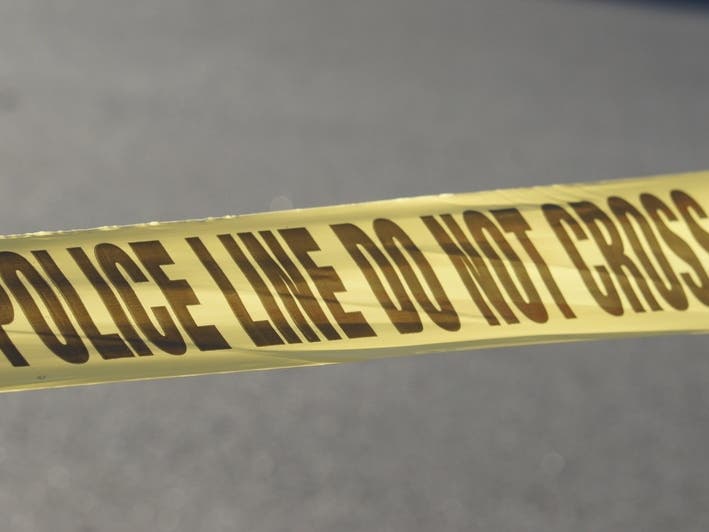 The incident occurred early Saturday morning near the intersection of Tampa Avenue and Romar Street in Northridge.