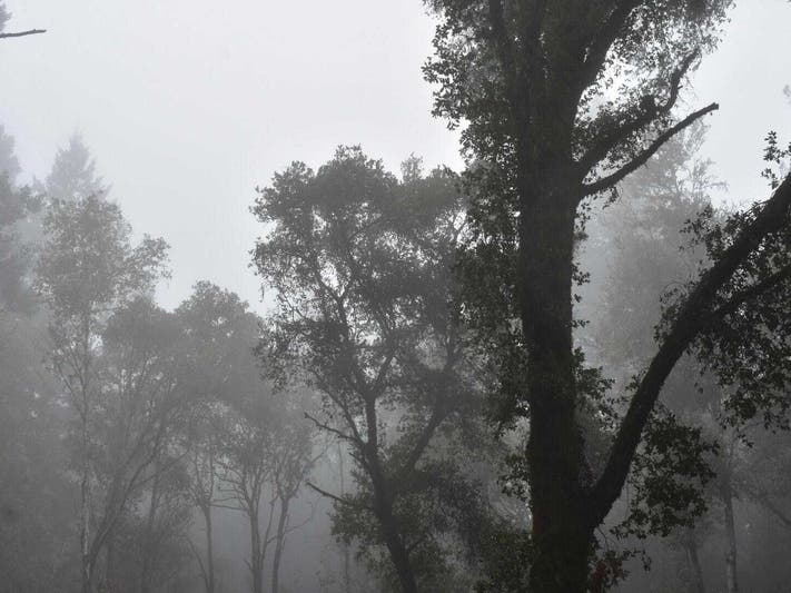 Winds could reach up to 80 miles an hour at higher altitudes. 