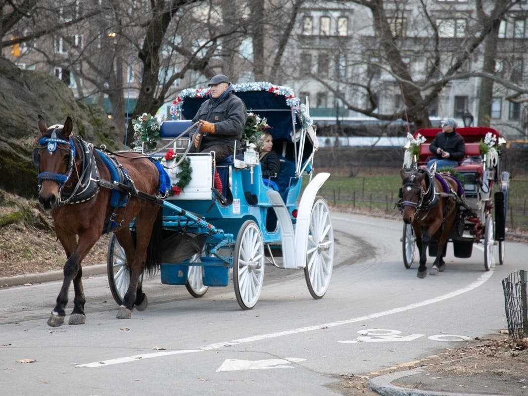 Proposed legislation would phase out horse-drawn carriages and replace them with "show cars."