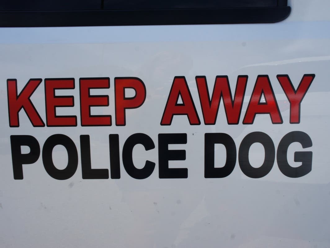 Jester, an ECPD canine, was treated for serious injuries.