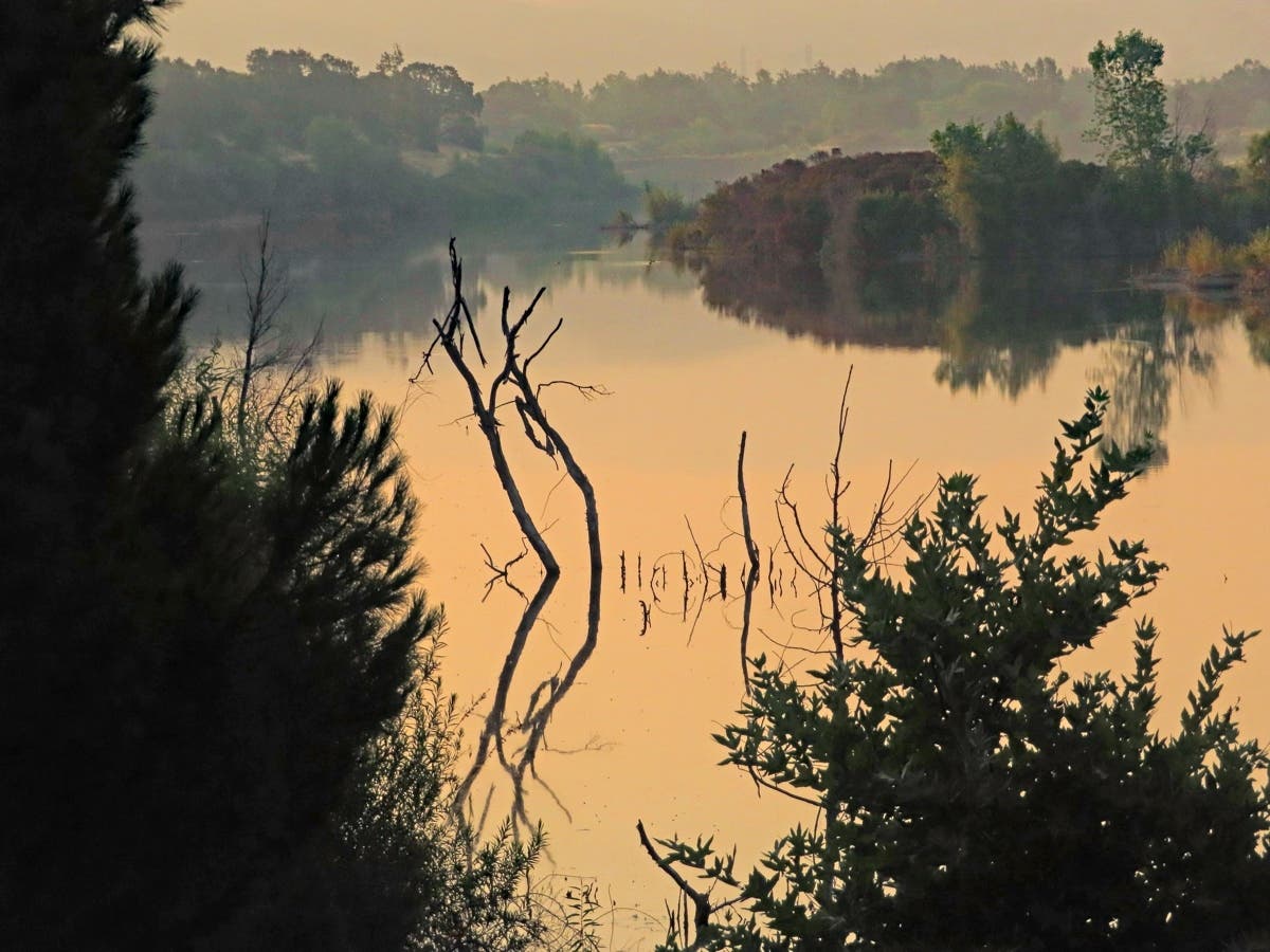 Lake A in the early morning. 