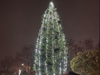 Check out San Ramon braving December rain to race and celebrate the holidays. 