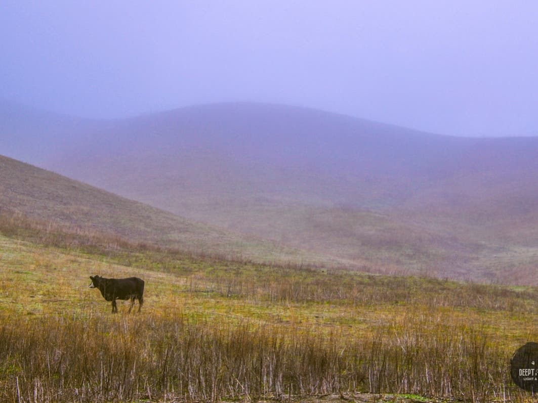 A misty morning in Hidden Valley Park.