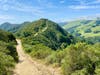 Verdant hills in Las Trampas.