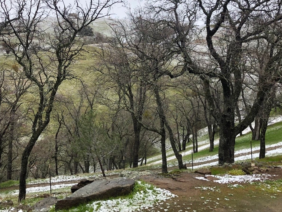 Snow-dusted hills above Lake Del Valle. 