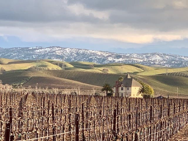 Rolling green vineyard hills come up against snowy mountains in this striking photo from Sherry McLaren.