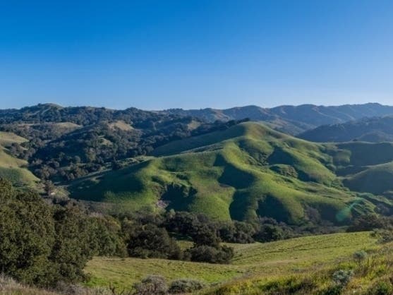 https://patch.com/img/cdn20/users/24074589/20230509/014458/styles/patch_image/public/picture2-credit-save-mount-diablo___09134212205.jpg