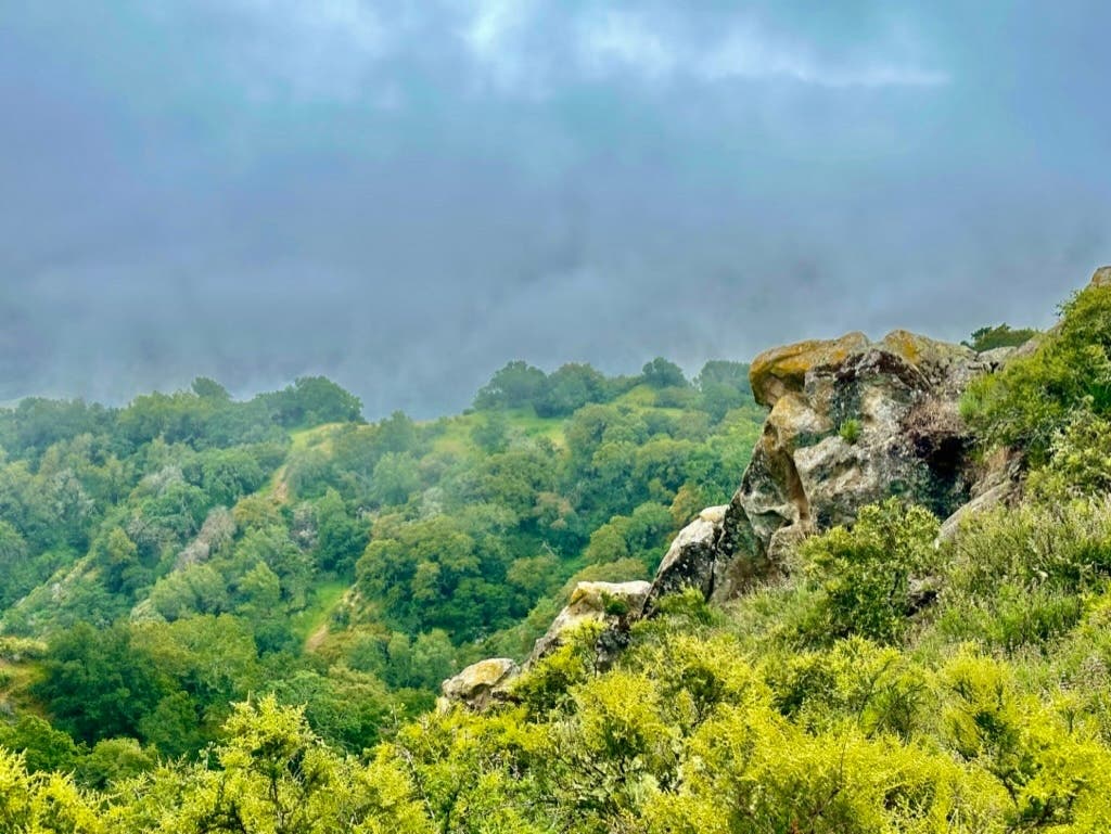 Jeff Chambers shared this enchanting photo of sun breaking through clouds during a hike through Las Trampas. 