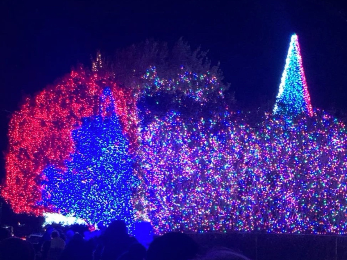 Deacon Dave's has cooing doves and over 610,000 lights.