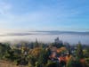 Enjoy photos of fog rolling over the Tri-Valley, and a fiery fall tree.