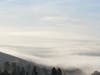 Enjoy photos of fog rolling over the Tri-Valley, and a fiery fall tree.