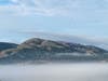 Enjoy photos of fog rolling over the Tri-Valley, and a fiery fall tree.
