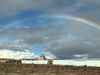 Rainbow over Concannon Vineyard.