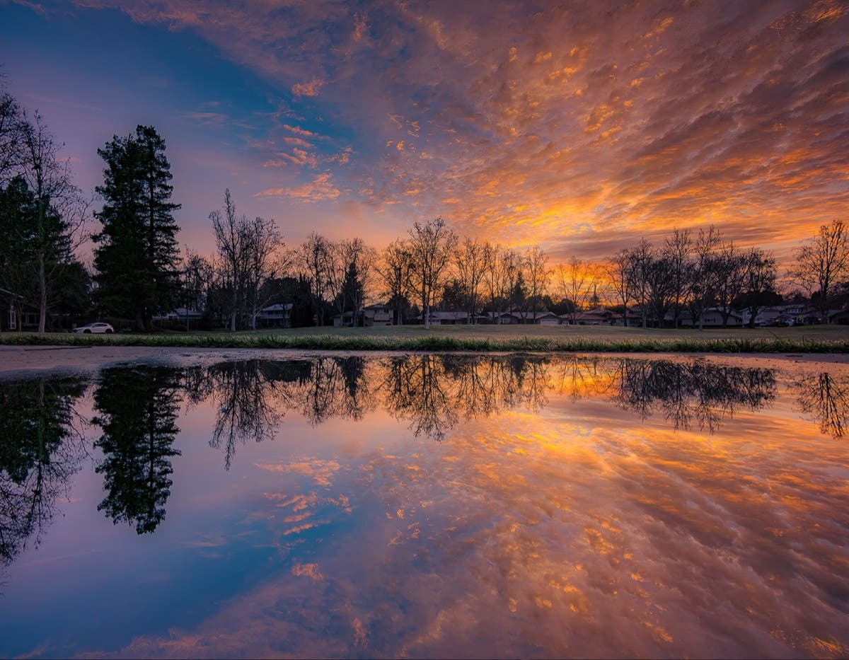 Sunrise reflected over a large puddle.