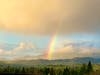 The rainbow seen from near the Livery Shopping Center.