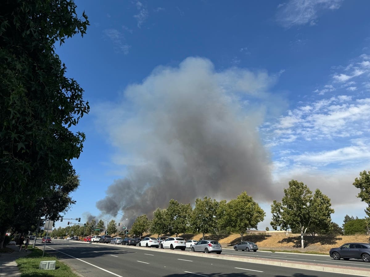 Fire Going Forward Parks Fire Held To 118 Acres, With Forward Progress Halted | San Ramon ...