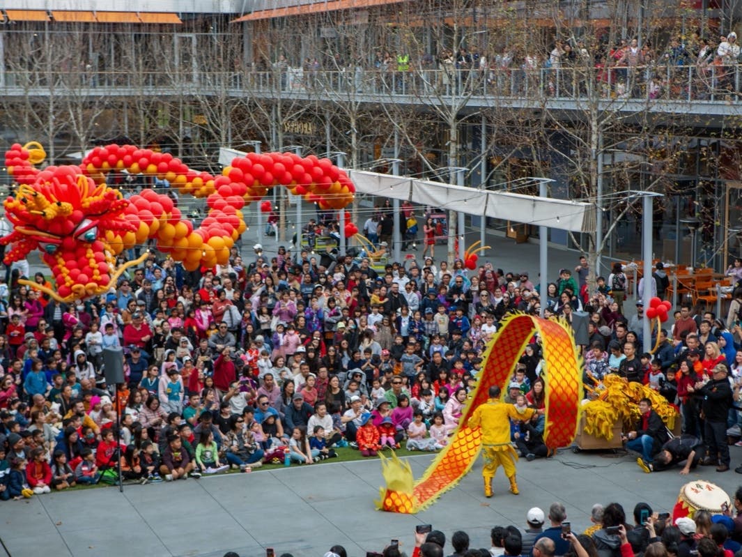 The afternoon will feature a number of cultural performances, including traditional Chinese dance performances, a lion dance, and a kung fu demonstration.
