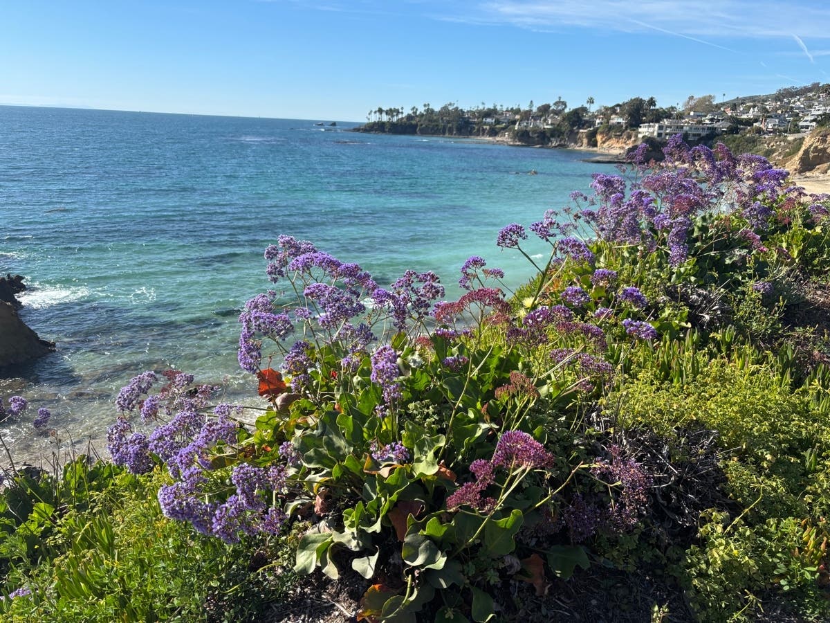 Niche looked at factors like outdoor activities, public schools, diversity, health, and more to determine the Golden State's top spots.